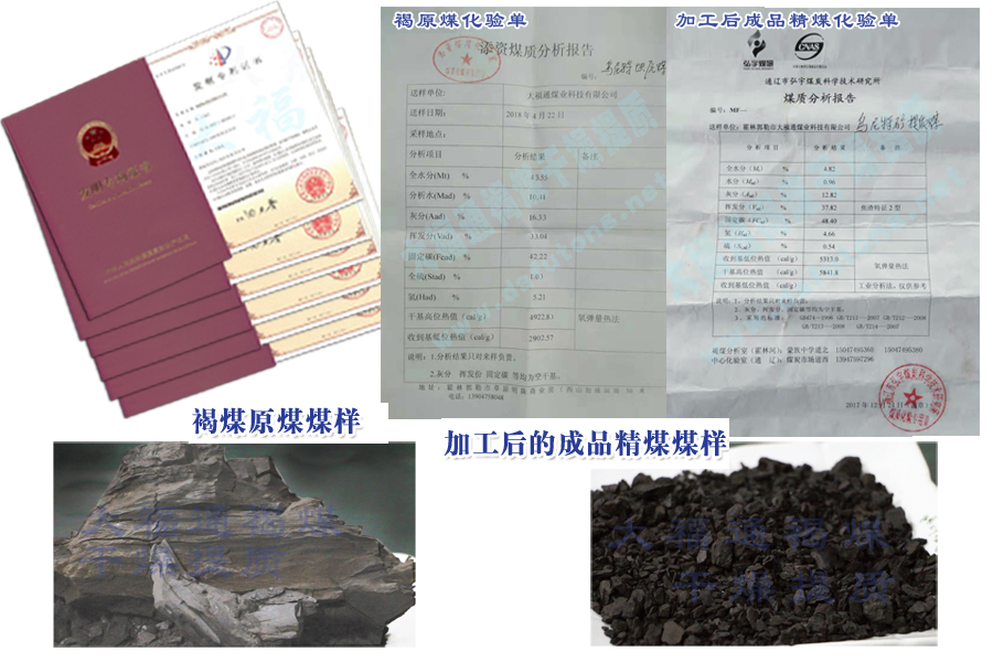 大福通煤业科技有限公司 褐煤高温无氧脱灰、脱水、脱硫提质